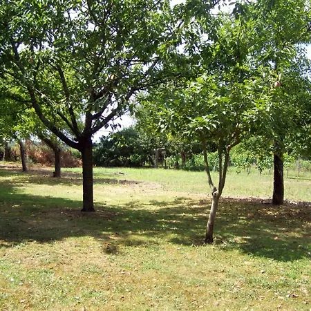 Thebees Maison d'hôtes